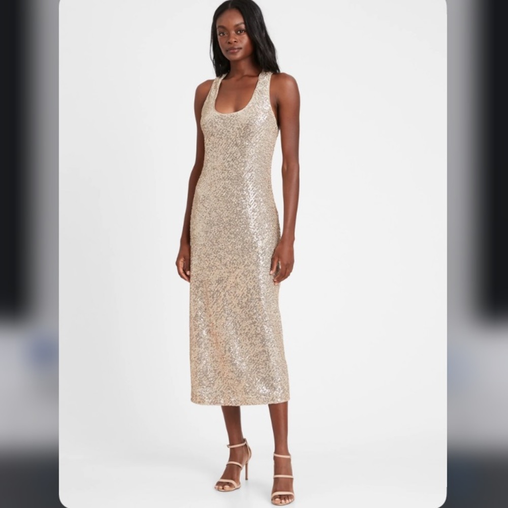 NWOT Banana Republic Dress